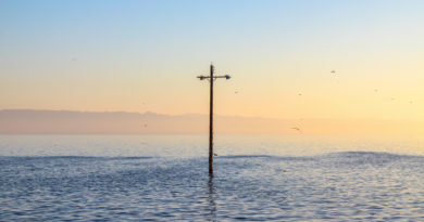 Cross-shaped telegraph pole sticking out from a body of water