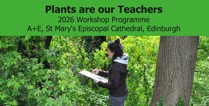 Plants Are Our Teachers: Spring Harvest Part 1: Foraging and Making